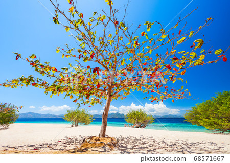 Beauty beach in Palawan island, Philippines Beauty beach in Palawan island, Philippines 68571667