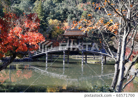 Gifu Torakeizan Eiho-ji Temple in autumn colors 68571700