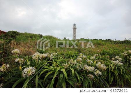 Kamashima Lighthouse Hamayu 68572631