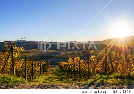 Sunset over the vineyard of Langhe in Piedmont Sunset over the vineyard of Langhe in Piedmont 68573348