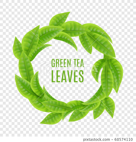 Green tea leaves wreath frame isolated on... - Stock Illustration ...