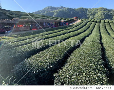 agriculture, asia, asian 68574553