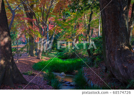 Kyoto Shimogami Shrine autumn leaves of Tadanomori Kyoto Shimogami Shrine autumn leaves of Tadanomori 68574726
