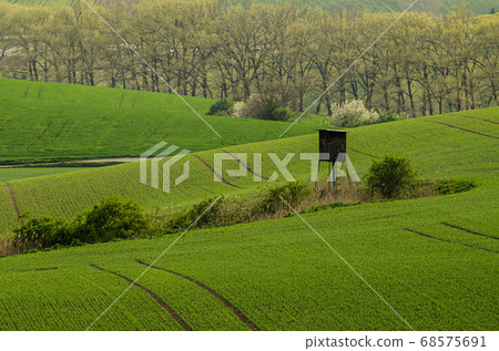 Rural spring landscape 68575691