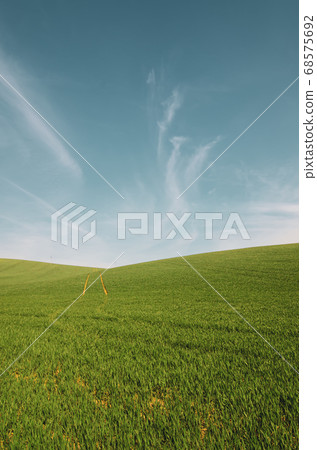 Abstract natural background 68575692