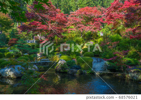 京都Mie Muroto寺廟秋葉 京都Mie Muroto寺廟秋葉 68576021