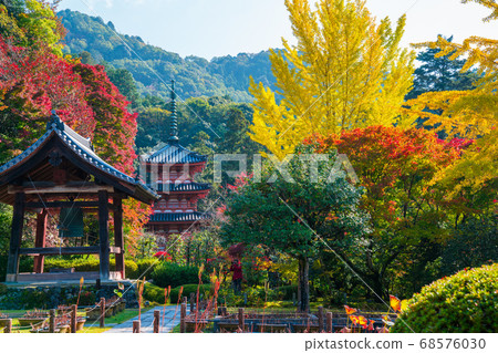 Autumn leaves of Kyoto Mie Muroto Temple 68576030