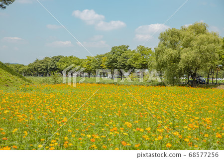 賽車夏天風景 賽車夏天風景 68577256