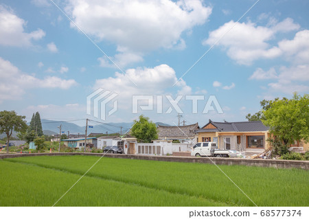 夏季比賽農村景觀 68577374