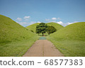 慶州Mureungwon的夏日風景 68577383