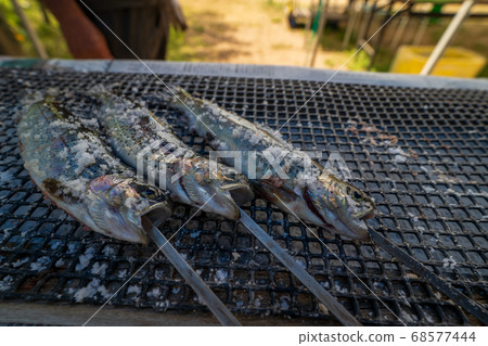 Salt-grilled rainbow trout Salt-grilled rainbow trout 68577444