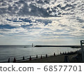 Sea 68577701