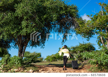 A woman to travel 68578608