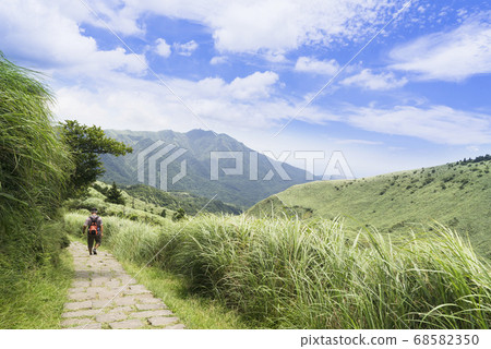 陽明山國家公園七星山登山步道景觀 陽明山國家公園七星山登山步道景觀 68582350