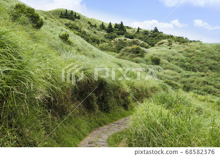 陽明山國家公園七星山登山步道景觀 陽明山國家公園七星山登山步道景觀 68582376