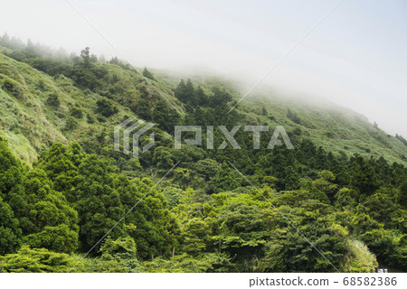 陽明山國家公園七星山登山步道景觀 68582386