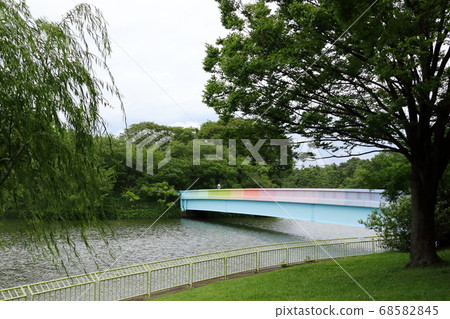 長居植物園的柳樹 照片素材 圖片 圖庫