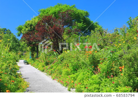 [高知縣]土撥鼠花園 68583794