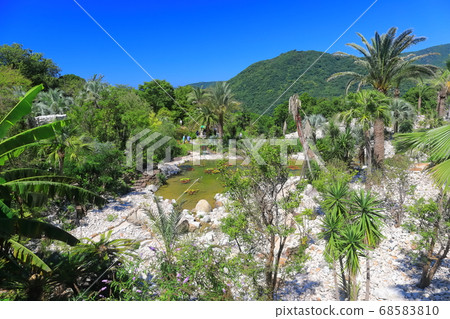 [Kochi Prefecture] Garden of Bordighera 68583810