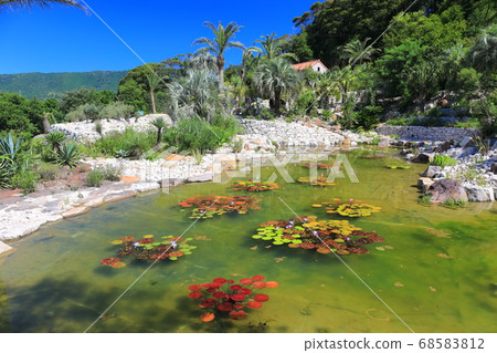 [Kochi Prefecture] Garden of Bordighera 68583812