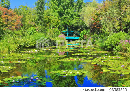 [Kochi Prefecture] Pond in Monet's garden where water lilies bloom 68583823