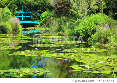 [Kochi Prefecture] Pond in Monet's garden where water lilies bloom 68583825