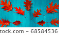 Red oak leaves pattern on a blue background 68584536