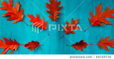 Red oak leaves pattern on a blue background 68584536