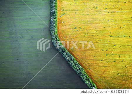 Aerial drone top view fields Aerial drone top view fields 68585174