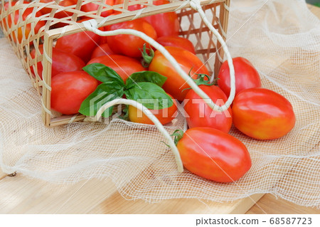 番茄夏季蔬菜羅勒籃子 68587723