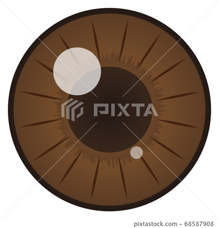 pupil pupil 68587908