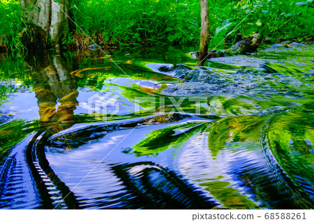 Reflection of river Reflection of river 68588261