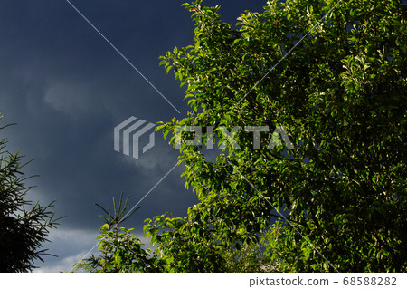 Nature Environment Dark cloud sky. Thunderstorm Nature Environment Dark cloud sky. Thunderstorm 68588282