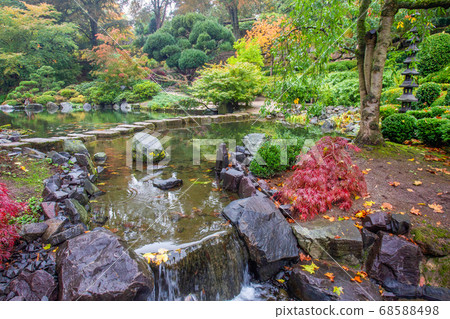 Amazing autumn  nature in Japanese garden in Kaiseslautern 68588498