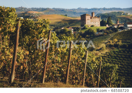 the castle of Grinzane Cavour, italy the castle of Grinzane Cavour, italy 68588720