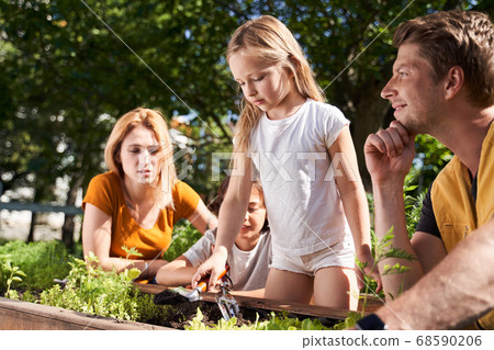 Adorable kids planting flowers with parents outdoors 68590206