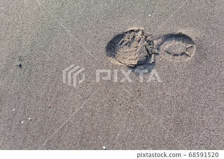 Footprints left on the beach Footprints left on the beach 68591520