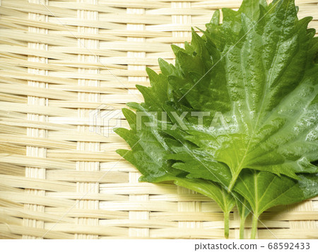 新鮮的綠色醬油放在竹漏勺上 68592433