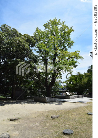 Arioka Castle Arioka Castle 68592895