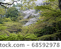 The beginning of spring and the gentle cherry blossom color 68592978