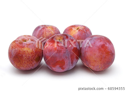 Plum Plum 68594355