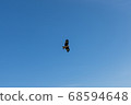 一隻鳥 68594648