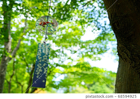 Garden tree and furin Garden tree and furin 68594925