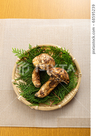 Matsutake gorgeous image Matsutake gorgeous image 68595239