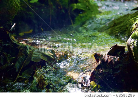 A clear stream flowing through a mountain stream A clear stream flowing through a mountain stream 68595299