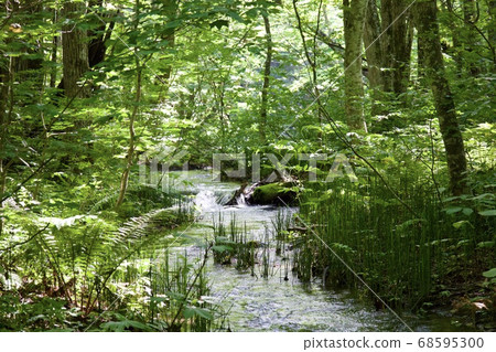 Clear stream flowing through the mountain stream Clear stream flowing through the mountain stream 68595300