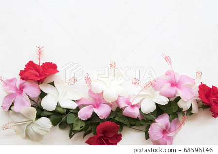 colorful flower pink red white hibiscus  floral of asia arrangement flat lay postcard style  68596146
