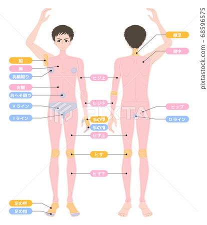 脱发全身男性 图库插图