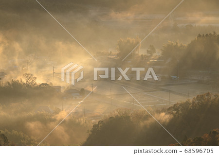 Rural landscape of the fog 68596705