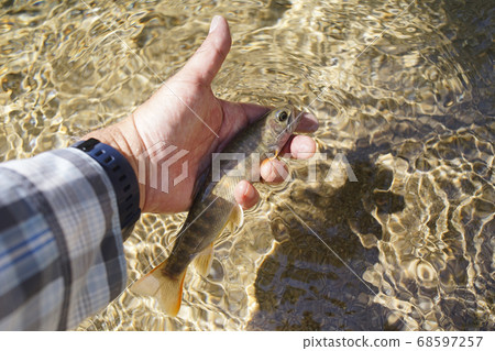 Fly fishing Fly fishing 68597257